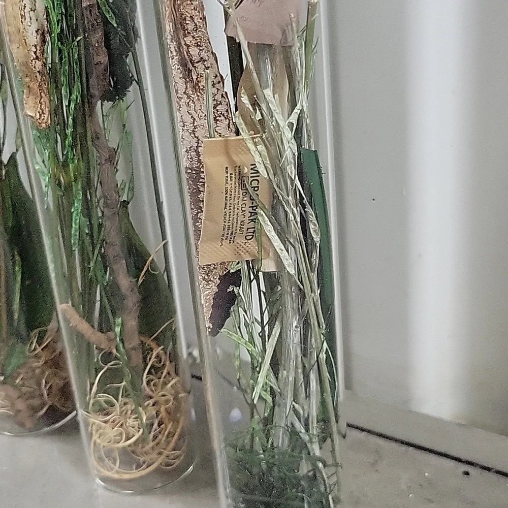 Ashland Faux Floral Tubes - Green and Brown Perfect For Home Decor. Holidays.
